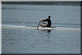 CEC_2394].jpg