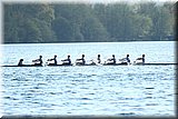 CEC_4860].jpg