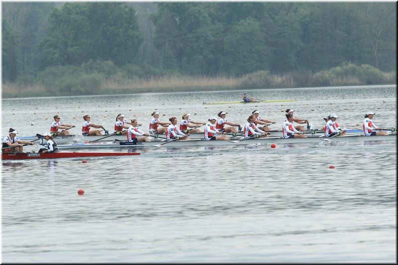 CEC_6109].jpg