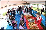 CEC_7139].jpg