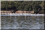 CEC_5421].jpg