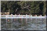 CEC_5426].jpg