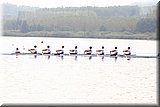 CEC_3250].jpg