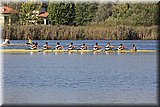 CEC_4800].jpg