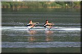 CEC_5025.jpg