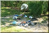 IMG_8544.jpg