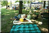 IMG_8593.jpg