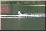 CEC_5970.jpg