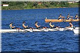 CEC_5028.jpg