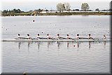 CEC_5478.JPG