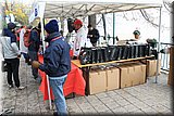CEC_0007.jpg