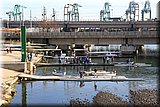 CEC_1742.JPG