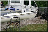 IMG_0519.jpg