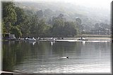 CEC_0788.JPG