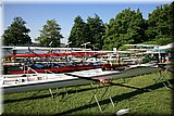 IMG_1170.jpg