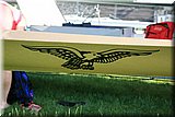 IMG_1174.jpg