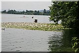 IMG_1266.jpg