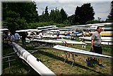 IMG_1267.jpg