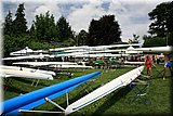 IMG_1269.jpg