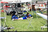 IMG_1292.jpg