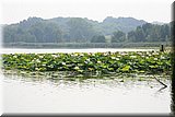 IMG_2925.JPG