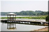 IMG_2954.JPG