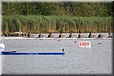 CEC_1765.JPG