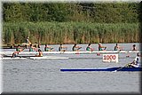 CEC_1789.JPG