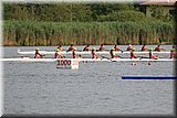 CEC_1796.JPG
