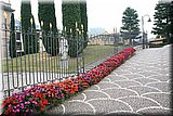IMG_3491.jpg