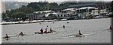 IMG_3571.jpg
