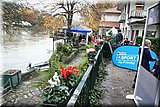 IMG_3675.jpg