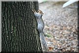IMG_3704.jpg