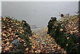 IMG_3706.jpg