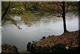 IMG_3707.jpg