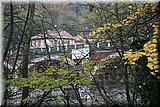 IMG_3714.jpg