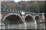 IMG_3716.jpg
