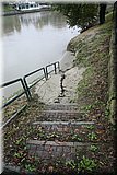 IMG_3721.jpg