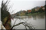 IMG_3726.jpg
