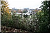IMG_3727.jpg