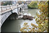 IMG_3729.jpg