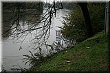 IMG_3733.jpg