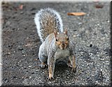 IMG_3735.jpg