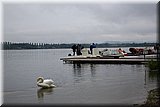 CLA_5548.jpg
