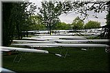 IMG_5310.jpg