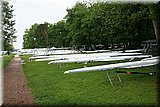 IMG_5311.jpg