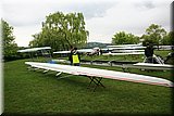 IMG_5315.jpg