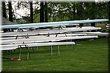 IMG_5344.jpg