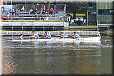 CEC_5824.jpg