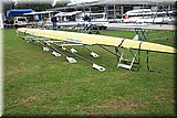 IMG_7899.jpg